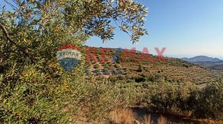 Αγροτεμάχια 10.075 τ.μ. προς πώληση, Πυργιώτικα-thumb-21