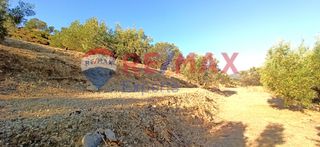 Αγροτεμάχια 10.075 τ.μ. προς πώληση, Πυργιώτικα-thumb-15
