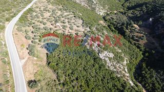 Αγροτεμάχια 63.340 τ.μ. για πώληση