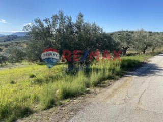 Αγροτεμάχια 4.100 τ.μ. προς πώληση, Πυργιώτικα-thumb-5
