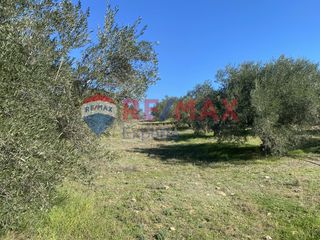 Αγροτεμάχια 4.100 τ.μ. προς πώληση, Πυργιώτικα-thumb-16