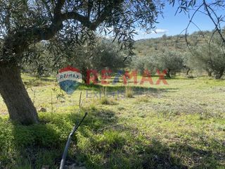 Αγροτεμάχια 4.100 τ.μ. προς πώληση, Πυργιώτικα-thumb-21