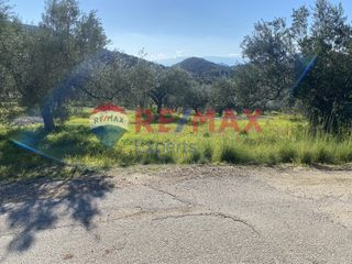 Αγροτεμάχια 4.100 τ.μ. προς πώληση, Πυργιώτικα-thumb-24
