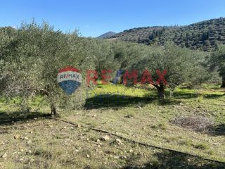 Αγροτεμάχια 4.100 τ.μ. προς πώληση, Πυργιώτικα-thumb-10