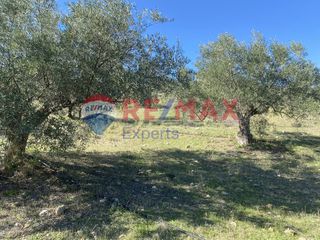 Αγροτεμάχια 4.100 τ.μ. προς πώληση, Πυργιώτικα-thumb-6