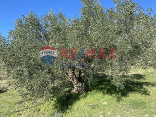 Αγροτεμάχια 4.100 τ.μ. προς πώληση, Πυργιώτικα-thumb-19