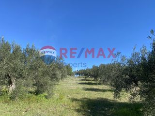 Αγροτεμάχια 4.100 τ.μ. προς πώληση, Πυργιώτικα-thumb-18