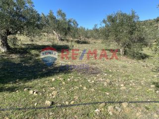 Αγροτεμάχια 4.100 τ.μ. προς πώληση, Πυργιώτικα-thumb-7