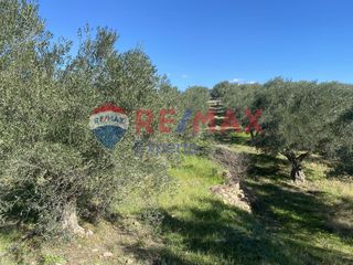 Αγροτεμάχια 4.100 τ.μ. προς πώληση, Πυργιώτικα-thumb-9