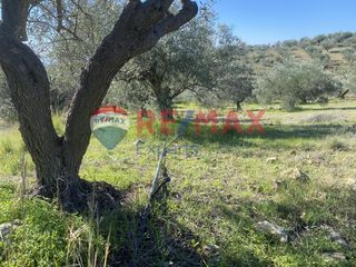 Αγροτεμάχια 4.100 τ.μ. προς πώληση, Πυργιώτικα-thumb-23