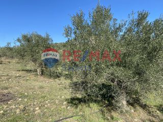 Αγροτεμάχια 4.100 τ.μ. προς πώληση, Πυργιώτικα-thumb-8