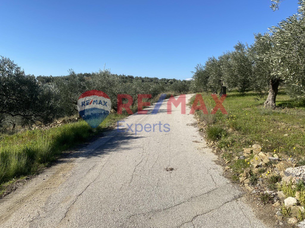 Αγροτεμάχια 4.100 τ.μ. προς πώληση, Πυργιώτικα