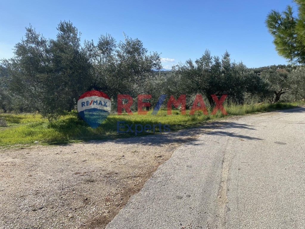 Αγροτεμάχια 4.100 τ.μ. προς πώληση, Πυργιώτικα
