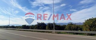 Αγροτεμάχια 11.800 τ.μ. προς πώληση, Παναρίτης-thumb-13