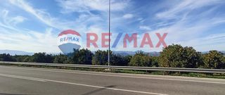 Αγροτεμάχια 11.800 τ.μ. προς πώληση, Παναρίτης-thumb-14