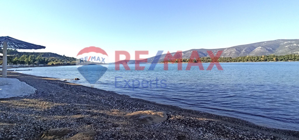 Οικόπεδο 1.000 τ.μ. προς πώληση, Κοιλάδα Κρανιδίου