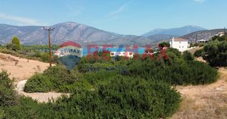 Οικόπεδο 1.000 τ.μ. προς πώληση, Κοιλάδα Κρανιδίου-thumb-5