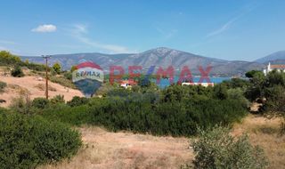 Οικόπεδο 1.000 τ.μ. προς πώληση, Κοιλάδα Κρανιδίου-thumb-3