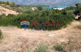 Οικόπεδο 1.000 τ.μ. προς πώληση, Κοιλάδα Κρανιδίου-thumb-6