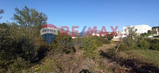 Οικόπεδο 1.000 τ.μ. προς πώληση, Κοιλάδα Κρανιδίου-thumb-12