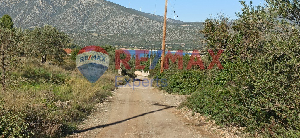 Οικόπεδο 1.000 τ.μ. προς πώληση, Κοιλάδα Κρανιδίου
