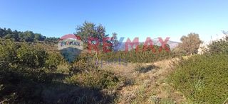 Οικόπεδο 1.000 τ.μ. προς πώληση, Κοιλάδα Κρανιδίου-thumb-11