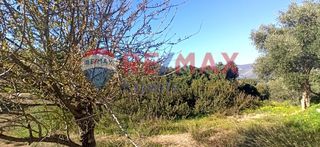 Οικόπεδο 1.000 τ.μ. προς πώληση, Κοιλάδα Κρανιδίου-thumb-4