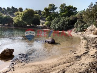 Αγροτεμάχια 4.046 τ.μ. για πώληση