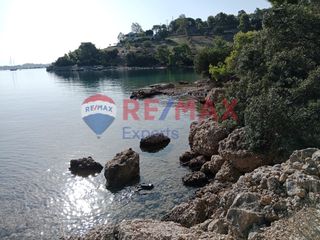 Αγροτεμάχια 4.046 τ.μ. προς πώληση, Πορτοχέλι-thumb-24