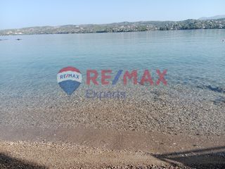 Αγροτεμάχια 4.046 τ.μ. προς πώληση, Πορτοχέλι-thumb-45