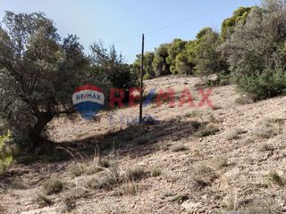 Αγροτεμάχια 4.046 τ.μ. προς πώληση, Πορτοχέλι-thumb-27