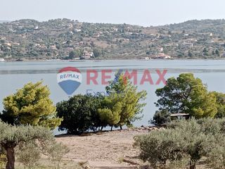 Αγροτεμάχια 4.046 τ.μ. προς πώληση, Πορτοχέλι-thumb-11