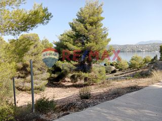 Αγροτεμάχια 4.046 τ.μ. προς πώληση, Πορτοχέλι-thumb-37
