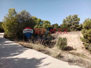 Αγροτεμάχια 4.046 τ.μ. προς πώληση, Πορτοχέλι-thumb-36