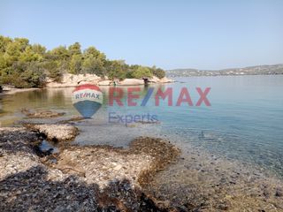 Αγροτεμάχια 4.046 τ.μ. προς πώληση, Πορτοχέλι-thumb-23