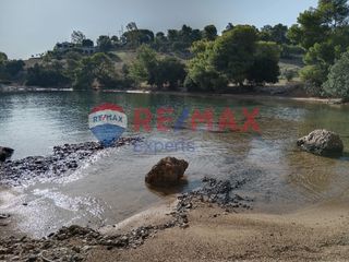 Αγροτεμάχια 4.046 τ.μ. προς πώληση, Πορτοχέλι-thumb-12
