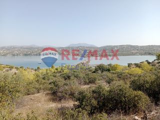 Αγροτεμάχια 4.046 τ.μ. προς πώληση, Πορτοχέλι-thumb-29