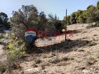 Αγροτεμάχια 4.046 τ.μ. προς πώληση, Πορτοχέλι-thumb-14