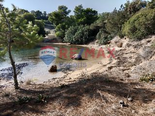 Αγροτεμάχια 4.046 τ.μ. προς πώληση, Πορτοχέλι-thumb-46