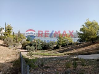 Αγροτεμάχια 4.046 τ.μ. προς πώληση, Πορτοχέλι-thumb-33