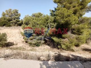 Αγροτεμάχια 4.046 τ.μ. προς πώληση, Πορτοχέλι-thumb-35