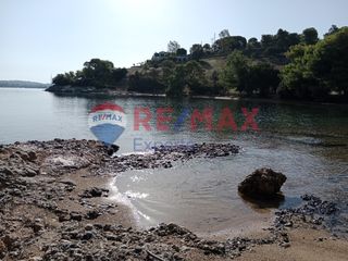 Αγροτεμάχια 4.046 τ.μ. προς πώληση, Πορτοχέλι-thumb-25