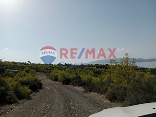 Αγροτεμάχια 4.046 τ.μ. προς πώληση, Πορτοχέλι-thumb-38