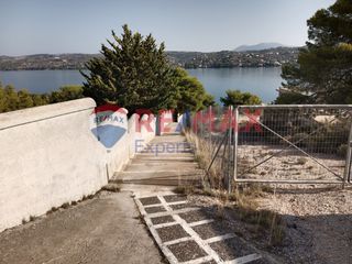 Αγροτεμάχια 4.046 τ.μ. προς πώληση, Πορτοχέλι-thumb-41