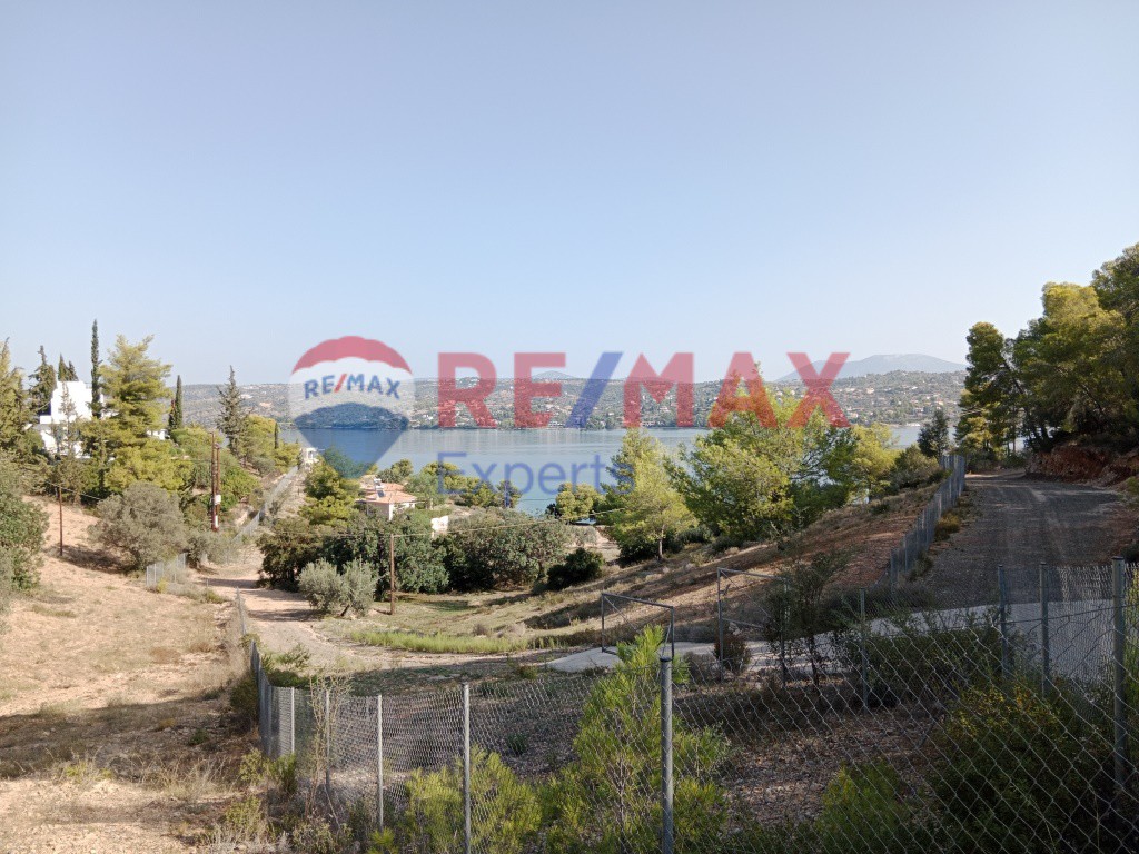 Αγροτεμάχια 4.046 τ.μ. προς πώληση, Πορτοχέλι