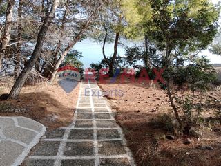 Αγροτεμάχια 4.046 τ.μ. προς πώληση, Πορτοχέλι-thumb-44