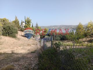 Αγροτεμάχια 4.046 τ.μ. προς πώληση, Πορτοχέλι-thumb-32