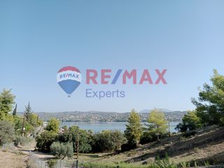 Αγροτεμάχια 4.046 τ.μ. προς πώληση, Πορτοχέλι-thumb-19