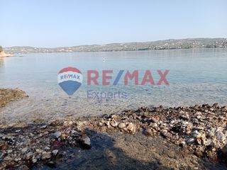Αγροτεμάχια 4.046 τ.μ. προς πώληση, Πορτοχέλι-thumb-13