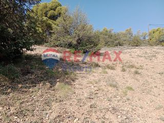 Αγροτεμάχια 4.046 τ.μ. προς πώληση, Πορτοχέλι-thumb-18